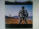 Doppio LP 33 giri - Pink Floyd Delicate sound of thunder - EMI 1988