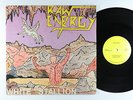 Raw Energy - White Stallion EP - RAW - Private Metal Shrink