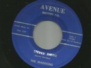 SURF ROCKABILLY INSTRO- MADISONS - STEVES' THEME  -HEAR -1966 RITE AVENUE