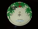 FREDDY CLARK / I ROY Troubles /I am JUNGLE BEAT Roots / Dub Very Scarce