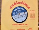7'ACETAT Heidi Brühl   Sag es dem Wind    Audiodisc ONESIDED/EINSEITIG