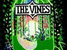 The Vines - Highly Evolved (LP,Limited Edition) Vinyl LP Capitol NEW