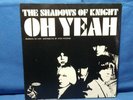 Shadows Of Knight Oh Yeah Rare 1966 Dunwich Garage Psych Rock 45 Picture Sleeve
