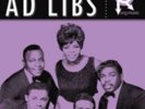 AD LIBS: PRESENTING... THE AD LIBS (LP vinyl *BRAND NEW*.)
