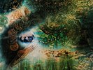 Pink Floyd: A Saucerful of Secrets - Warner Music 180g LP (PFRLP 2)