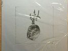 Pixies - Beneath The Eyrie Deluxe Edition Box Set Mint Sealed