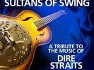 Sultans Of Swing - A Tribute To Dire Straits Vinyl LP ZYX Music NEW