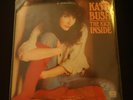Kate Bush 