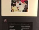 Led Zepplin / 2XLP Deluxe Limited Vinyl / Presence / Jimmy Page Remasters / 180g