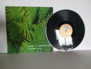 Ypsilon In Malaysian Pale – Edgar Froese, vinyl 1975 Brain 1074 NM Import