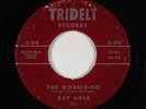 Northern Soul R&B 45 - Ray Agee - The Wobble-Oo - Tridelt - mp3