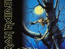 IRON MAIDEN ?- Fear Of The Dark 2 x LP 180 Gram Vinyl Album - SEALED NEW Record