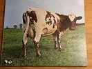 pink floyd japan vinyl Atom heart mother Schallplatte