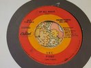 Vigorous Detroit Garage Psych Ripper 45 SRC Up All Night EX HEAR