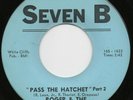Roger &The Gypsies - Pass The Hatchet - VG++  (Hear It)