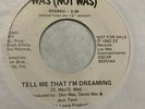 Modern Soul Boogie 45 WAS (NOT WAS) Tell Me That I'm Dreaming NM