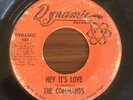 Rare northern soul The Commands 