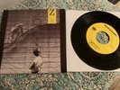 Boston Spaceships - Camera Found The Ray Gun 7” - Guided By Voices