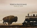 NEW Tedeschi Trucks Band – Made Up Mind (180g Colored Double Vinyl LP 2019)