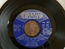 The Breakers 45 Dont Send Me No Flowers (i Aint Dead Yet) -AMY-RARE GARAGE PSYCH