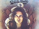 DAVID COVERDALE / White Snake (EX/EX) [06??] LP vinyl