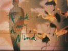 Christopher Cross Back Of My Mind LP Album Vinyl Schallplatte 179173