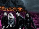 The Dead Weather-Dodge and Burn (US IMPORT) Vinyl / 12