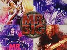 Mr. Big-Live From Milan (Gatefold/Black/180 Gramm) (UK IMPORT) VINYL NEW