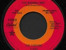 THE TARTANS - THE WISHING TREE (Capitol) - Rare 60's USA Garage Psych 45
