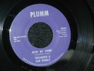 TEEGARDEN & VAN WINKLE Rare Detroit PLUMM 45 DOIN' MY THING Psych SOUL MOD  HEAR