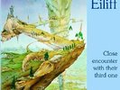 EILIFF - Close Encounter With Their Third One - LP 1972 Garden Of Delights