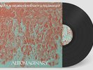 Natural Information Society & Bitchin Bajas ltd LP Joshua Abrams