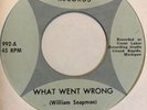 Garage 45 THE PENETRATERS What Went Wrong FENTON Cross The River Of Love HEAR