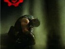 Libri Karen Traviss - Gears Of War. Prigioniero