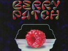MACHINEDRUM/HOLLY - Berry Patch - Vinyl (12