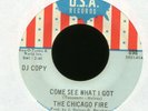 THE CHICAGO FIRE See What I Got U.S.A. Promo Northern Blue Eyed Soul 45 Hear