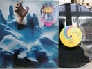 The Hook - Will Grab You UNI LP 73023 VG++ PSYCH STEREO THE LEAVES FUZZ