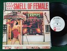 THE CRAMPS - Smell of Female - Punk -   near mint US  Press
