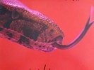 ALICE COOPER - KILLER - EXCELLENT - ORIGINAL ISSUE