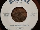 FEAR CAY Never More To Roam / The Sea 45 70s NC Downer Rock Soul Psych HEAR IT