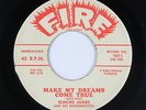 Blues R&B 45 - Elmore James - Make My Dreams Come True - Fire - mp3