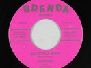 Rockabilly 45 - Nothing & the No Names - Bearsville Rock - Brenda VG++ mp3 rare