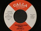 JEAN WELLS: What Have I Got To Lose / Broomstick Horse Cowboy 45 Soul