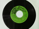 THE VICEROYS - SHADDAI CHILDREN // VERSION [ VICTORIUS STEPPERS ]   [ FEB034 ]