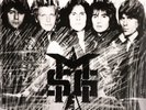 The Michael Schenker Group • MSG • 12