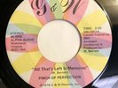PINCH OF PERFECTION   ALL THAT’S LEFT IS MEMORIES   G&W   Rare Orig. Modern Soul