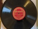 The Arabian Knights/Harry Pollock-Gennett 3387-Who Are You Vamping Tonight-V++