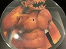 Metallica Picture Disc