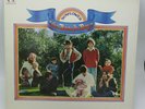 The Beach Boys ?– Sunflower 1970 Reprise RS 6382 - VINYL