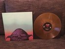 Orc by Thee Oh Sees Gilded Axe Wax Castle Face Ty Segal White Fence